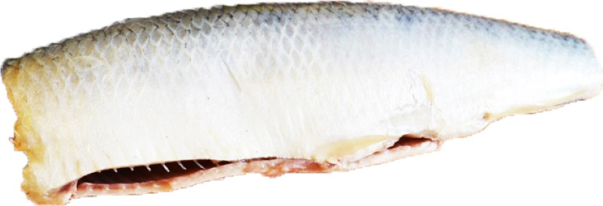 Риба Океан с/с Оселедець б/г