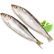 Риба Океан с/с Салака